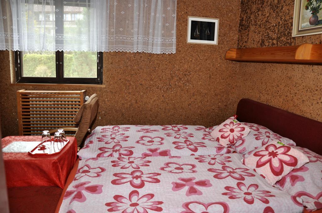 Pension Nika Cesky Krumlov Exterior photo